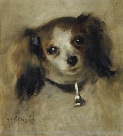 Pierre-Auguste Renoir Head of a Dog Norge oil painting art